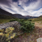 White River National Forest