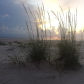 Cumberland Island National Seashore