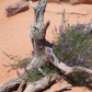 Canyonlands National Park