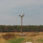 Blackwater National Wildlife Refuge