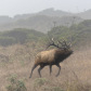 Point Reyes National Seashore