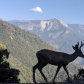 Sequoia National Park