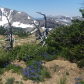 Grand Teton National Park