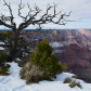 Grand Canyon National Park