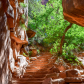 Zion National Park