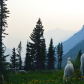 Glacier National Park