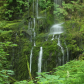 Olympic National Park
