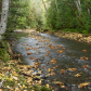 Olympic National Park