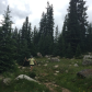 San Isabel National Forest