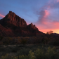 Zion National Park