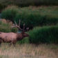 Rocky Mountain National Park