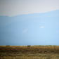 Grand Teton National Park