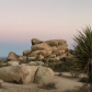 Joshua Tree National Park