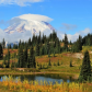 Mount Rainier National Park