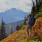 North Cascades National Park