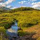 San Juan National Forest
