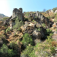 Pinnacles National Park