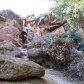 Pinnacles National Park