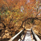 Pinnacles National Park