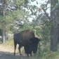 Theodore Roosevelt National Park 