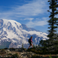 Mount Rainier National Park