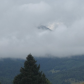Santa Fe National Forest & Carson National Forest