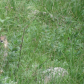 Santa Fe National Forest & Carson National Forest