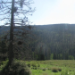 Santa Fe National Forest & Carson National Forest