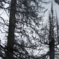 Santa Fe National Forest & Carson National Forest
