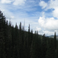 Santa Fe National Forest & Carson National Forest