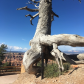 Bryce Canyon National Park