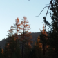 San Bernardino National Forest