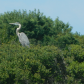 Cape Hatteras National Seashore