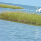 Cape Hatteras National Seashore
