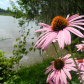 Congaree National Park