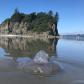 Olympic National Park