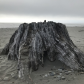 Olympic National Park