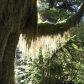 Olympic National Park