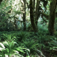 Olympic National Park