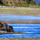Katmai National Park and Preserve