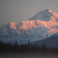 Denali National Park
