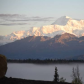 Denali National Park