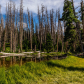 Cedar Breaks National Monument