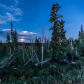Cedar Breaks National Monument