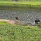 Rocky Mountain National Park 