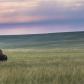 Badlands National Park