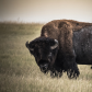 Badlands National Park