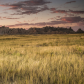 Badlands National Park