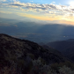 Cleveland National Forest