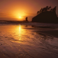Olympic National Park